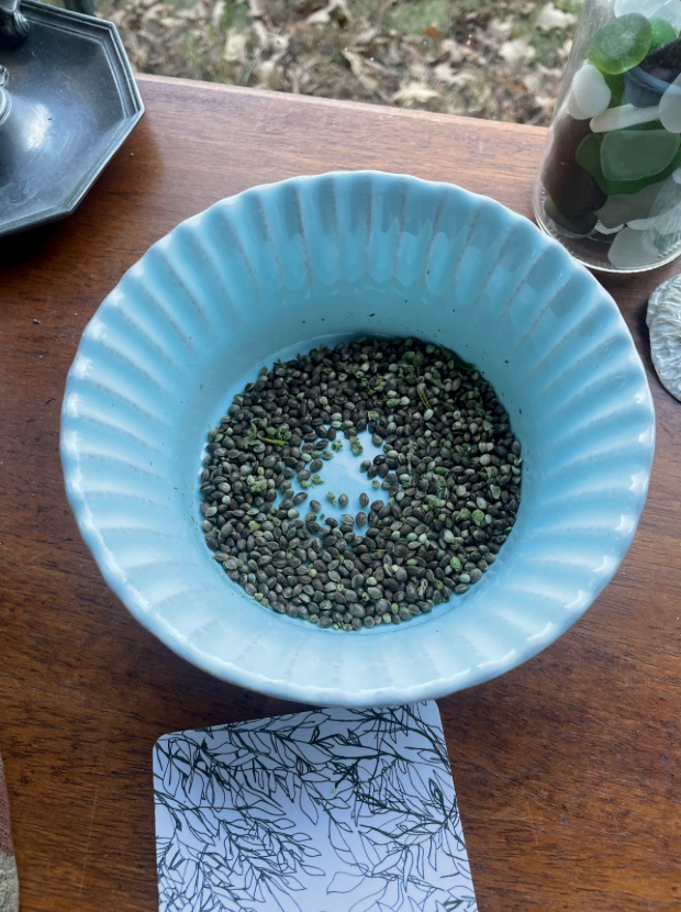 Dirt Diva: Prepping Your Plot for the Long Winter
