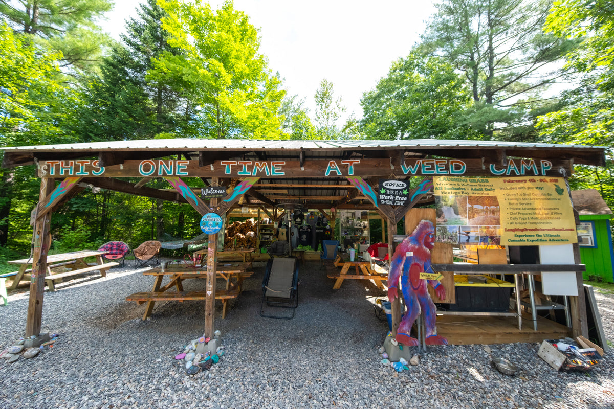Road Trip: Welcome to Weed Camp