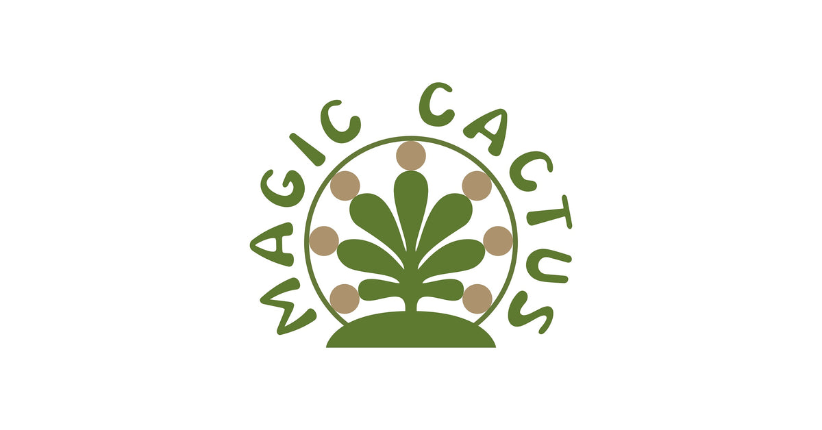 Magic Cactus Goes a Little Higher: Microdose THC Beverage Brand Launches Limited "Higher Desert Edition" Following Grocery Expansion and New Capital from Listen Ventures