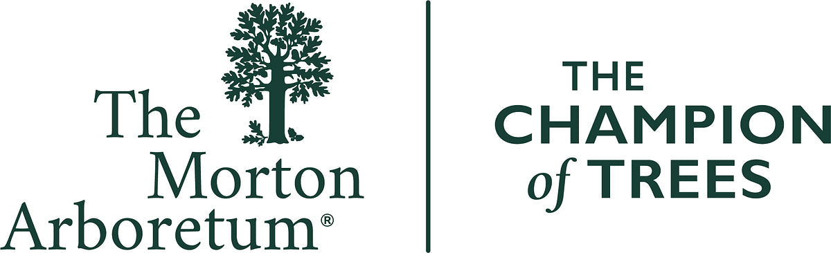 Public tickets for Illumination at The Morton Arboretum go on sale Oct. 15 for its boldest, most captivating 14th season, returning Nov. 14-Jan. 2