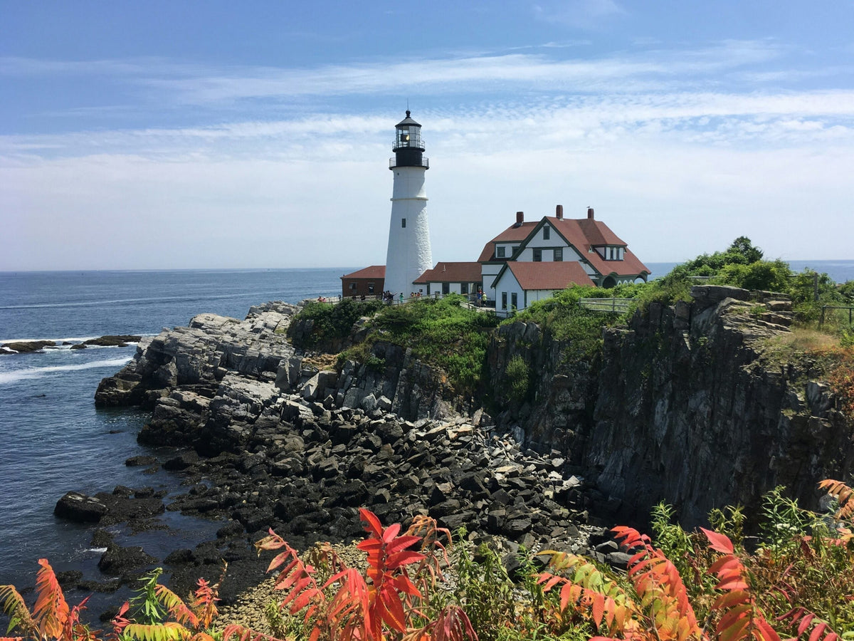 Maine’s Cannabis Scene: Lobsters, Lighthouses, and Legendary Bud