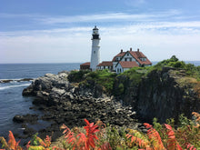 Maine’s Cannabis Scene: Lobsters, Lighthouses, and Legendary Bud