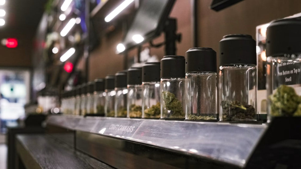 Fine Fettle to Open North Haven Dispensary on Oct. 23